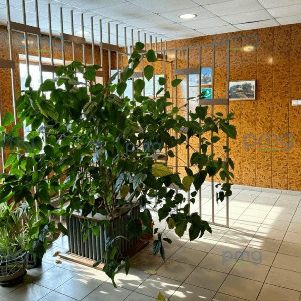 г. Подольск, ул. Окружная 2Б